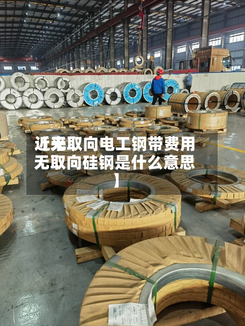 近来【无取向电工钢带费用无取向硅钢是什么意思】
