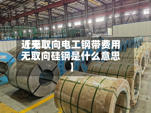 近来【无取向电工钢带费用无取向硅钢是什么意思】-第2张图片