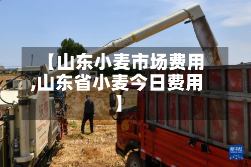 【山东小麦市场费用,山东省小麦今日费用】-第2张图片