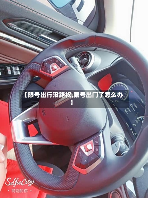 【限号出行没路权,限号出门了怎么办】