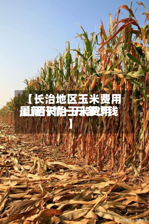 【长治地区玉米费用,山西长治玉米费用最新行情一斤多少钱】-第2张图片