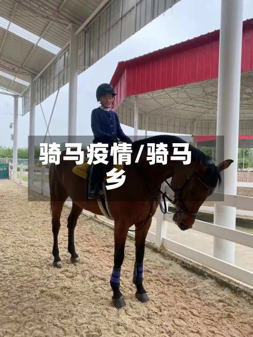 骑马疫情/骑马乡-第2张图片
