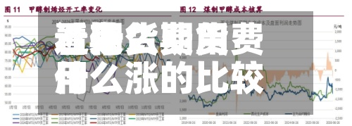 近来【期货费用看什么期货费用什么涨的比较多】