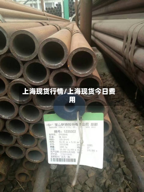 上海现货行情/上海现货今日费用