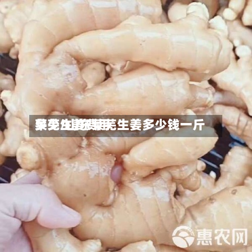 莱芜生姜费用多少/山东莱芜生姜多少钱一斤-第2张图片