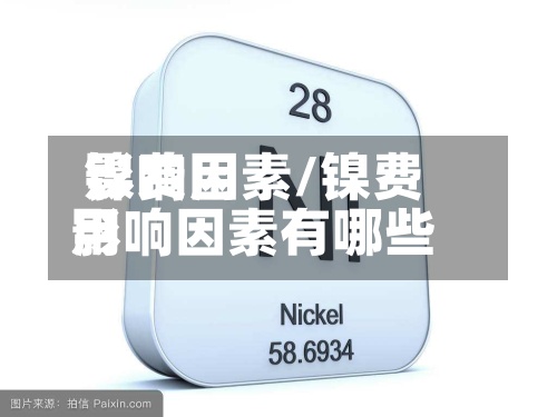 镍费用影响因素/镍费用影响因素有哪些-第2张图片