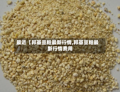 最近【邦基豆粕最新行情,邦基豆粕最新行情费用
】-第2张图片