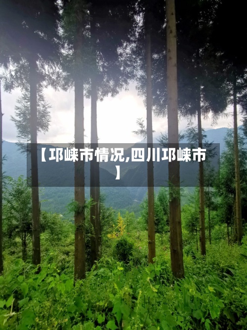 【邛崃市情况,四川邛崃市】-第2张图片
