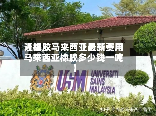 近来
【橡胶马来西亚最新费用
马来西亚橡胶多少钱一吨】-第2张图片