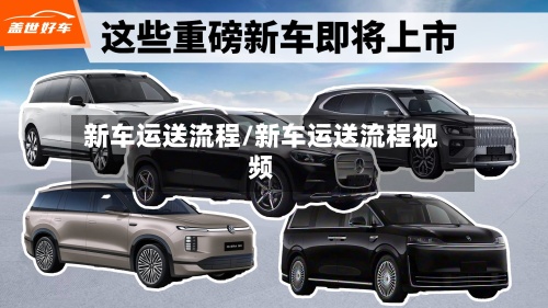 新车运送流程/新车运送流程视频