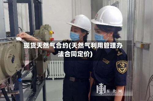 现货天然气合约(天然气利用管理办法合同定价)