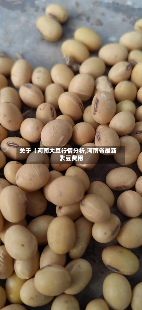 关于【河南大豆行情分析,河南省最新大豆费用】