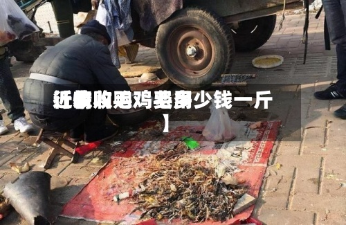 近来【收购毛鸡费用行情收购鸡毛多少钱一斤】