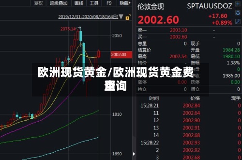 欧洲现货黄金/欧洲现货黄金费用
查询-第2张图片