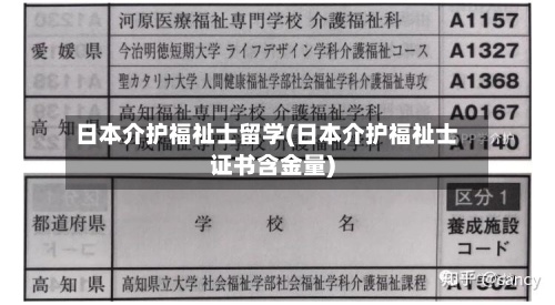 日本介护福祉士留学(日本介护福祉士证书含金量)-第3张图片