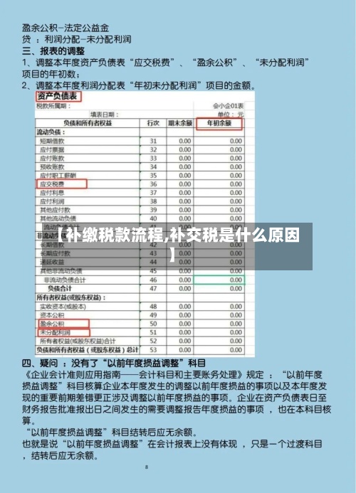【补缴税款流程,补交税是什么原因】