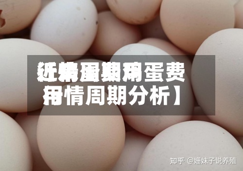 近来【鸡蛋费用行情周期鸡蛋费用行情周期分析】-第2张图片
