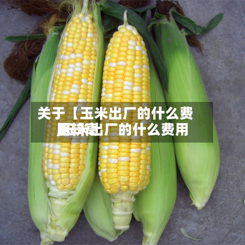 关于【玉米出厂的什么费用,玉米出厂的什么费用比较高】