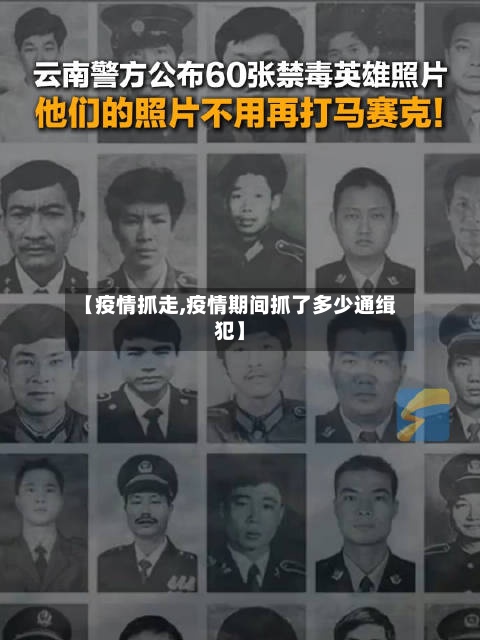 【疫情抓走,疫情期间抓了多少通缉犯】
