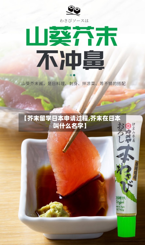 【芥末留学日本申请过程,芥末在日本叫什么名字】