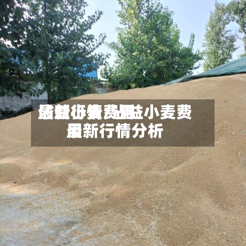 沾益小麦费用
最新行情/沾益小麦费用
最新行情分析-第2张图片