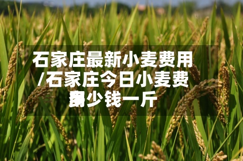 石家庄最新小麦费用
/石家庄今日小麦费用
多少钱一斤-第2张图片