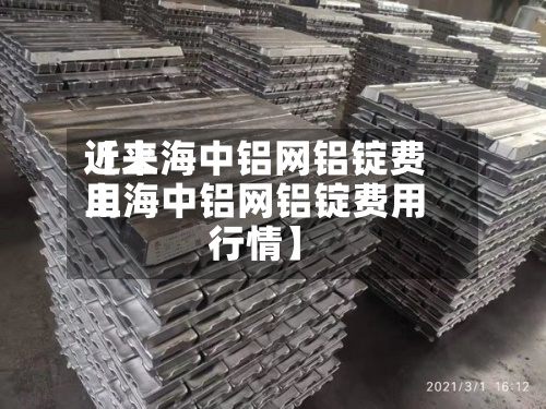 近来【上海中铝网铝锭费用上海中铝网铝锭费用行情】-第3张图片
