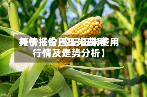 关于【今日玉米费用行情报价,今日玉米费用行情及走势分析】
