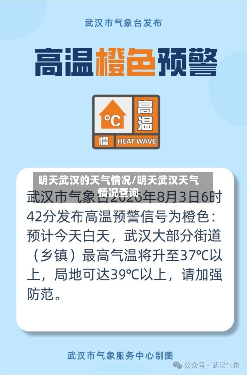 明天武汉的天气情况/明天武汉天气情况查询-第2张图片