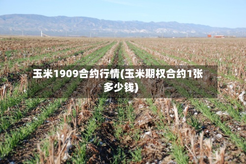 玉米1909合约行情(玉米期权合约1张多少钱)-第2张图片