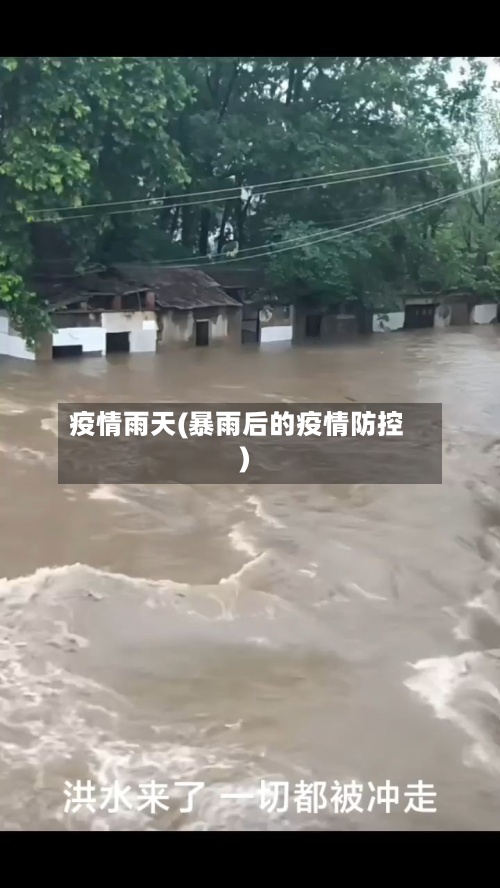 疫情雨天(暴雨后的疫情防控)-第3张图片