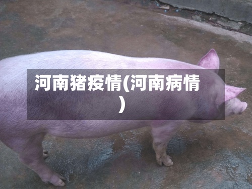 河南猪疫情(河南病情)-第2张图片