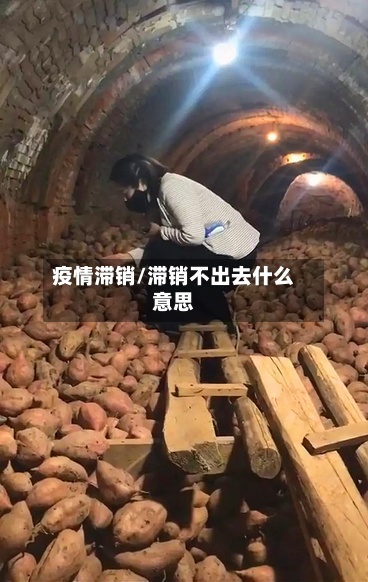 疫情滞销/滞销不出去什么意思-第2张图片