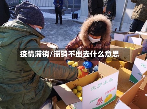 疫情滞销/滞销不出去什么意思