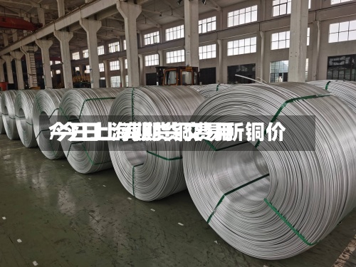 今日上海期货铜费用
/今日上海期货交易所铜价-第2张图片