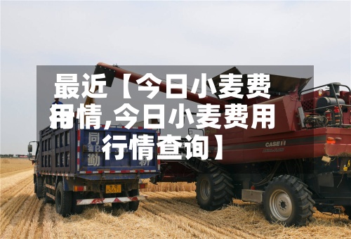 最近【今日小麦费用
行情,今日小麦费用
行情查询】-第3张图片