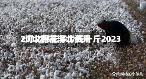 2017棉花河北费用
/河北棉花多少钱一斤2023-第3张图片