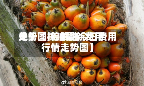 关于【棕油最新费用
走势图,棕榈油今日费用
行情走势图】-第3张图片