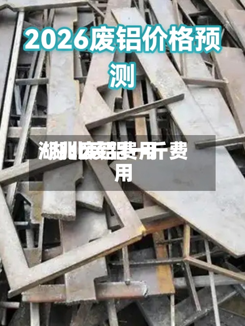 湖兆废铝费用
/湖北废铝一斤费用
-第2张图片