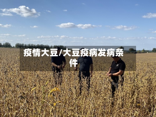 疫情大豆/大豆疫病发病条件-第2张图片