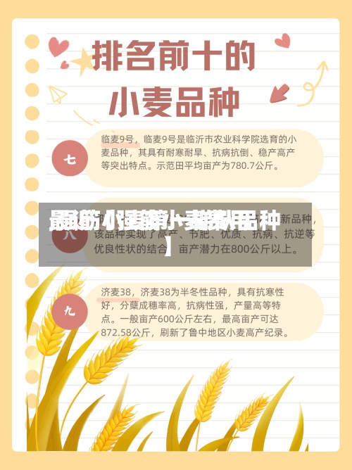 最近【强筋小麦费用
,强筋小麦第一梯队品种】-第2张图片