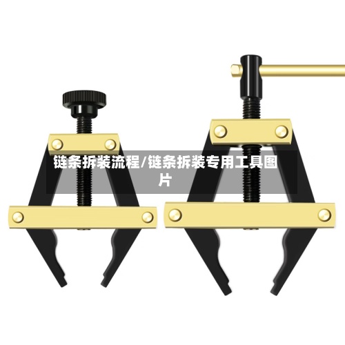 链条拆装流程/链条拆装专用工具图片-第2张图片