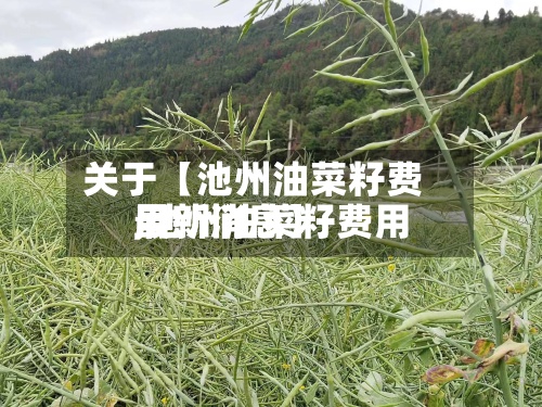 关于【池州油菜籽费用
,池州油菜籽费用
最新消息】-第3张图片