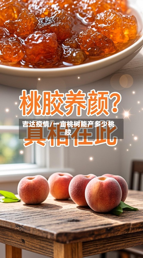 吉达疫情/一亩桃树能产多少桃胶-第3张图片