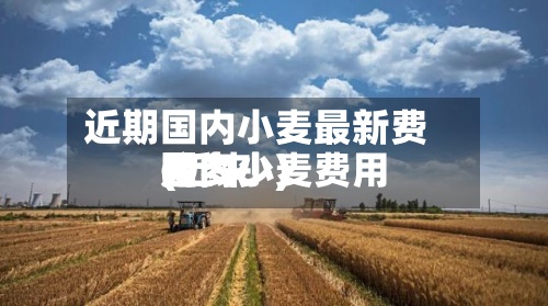 近期国内小麦最新费用
(近来
国内小麦费用
是多少)-第2张图片