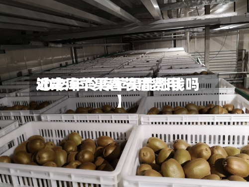 近来
【冷库苹果春节后费用
2025年冷库苹果能涨钱吗】-第2张图片