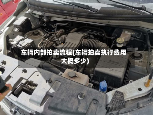 车辆内部拍卖流程(车辆拍卖执行费用大概多少)