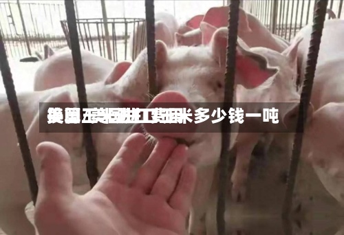 美国玉米进口费用换算/美国进口玉米多少钱一吨-第3张图片