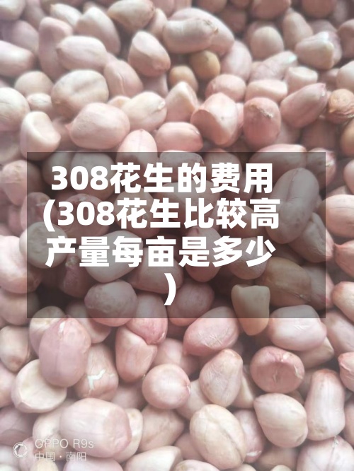 308花生的费用(308花生比较高产量每亩是多少)