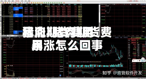 猪肉期货费用
暴涨/猪肉期货费用
暴涨怎么回事-第2张图片